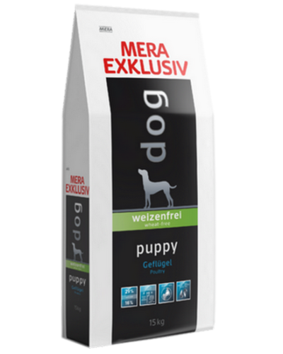 MERA EXCLUSIVE for puppy