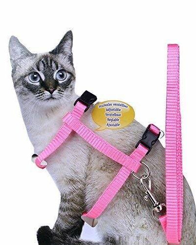 CAT HARNESS WITH LEASH