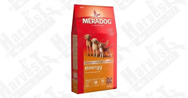 MeraDog Energy