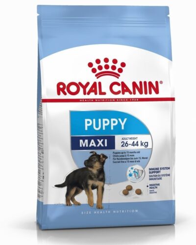 Royal Canin Maxi puppy