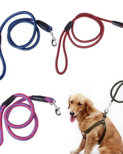 Round Nylon Dog Leash