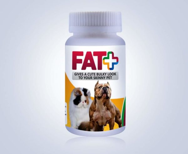 FAT+Suppliments
