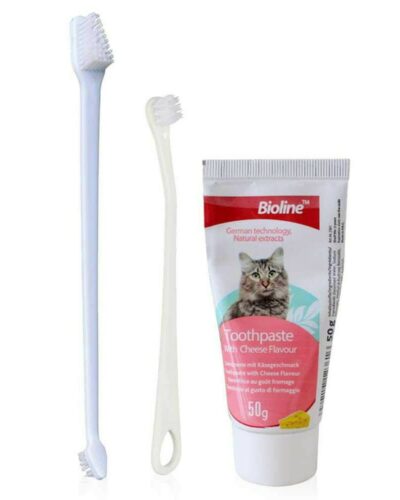 Dental Hygiene set for Cats