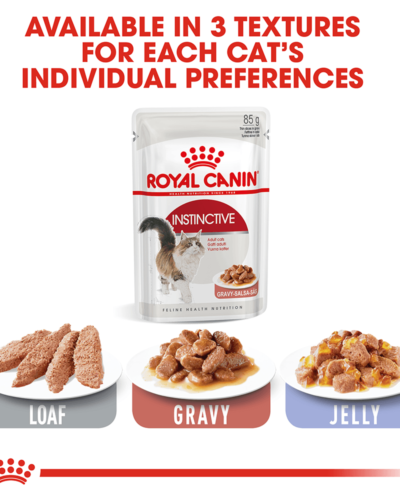 ROYAL CANIN INSITINCTIVE jelly food