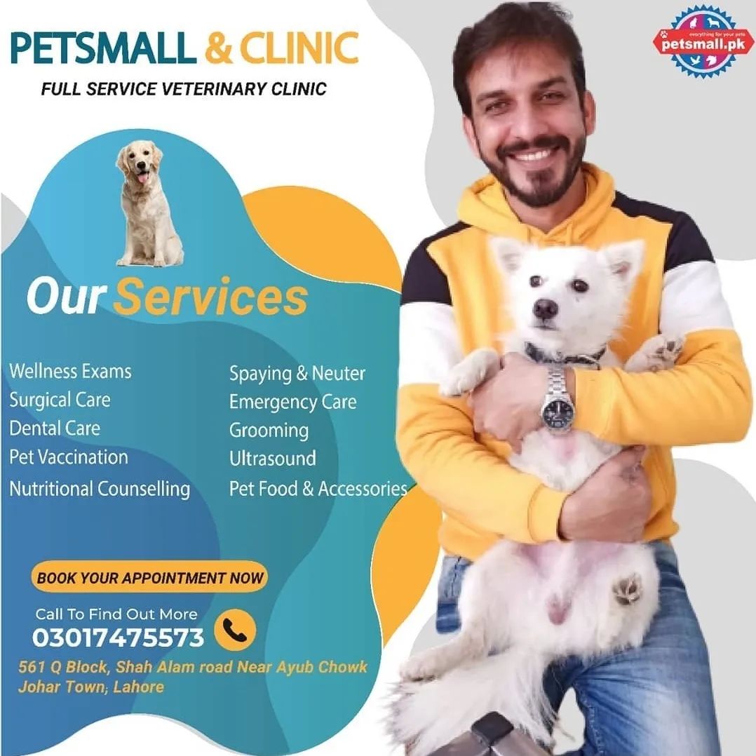 Pet Care Services: Discover the Excellence of Petsmall. Pk and Pets Clinic