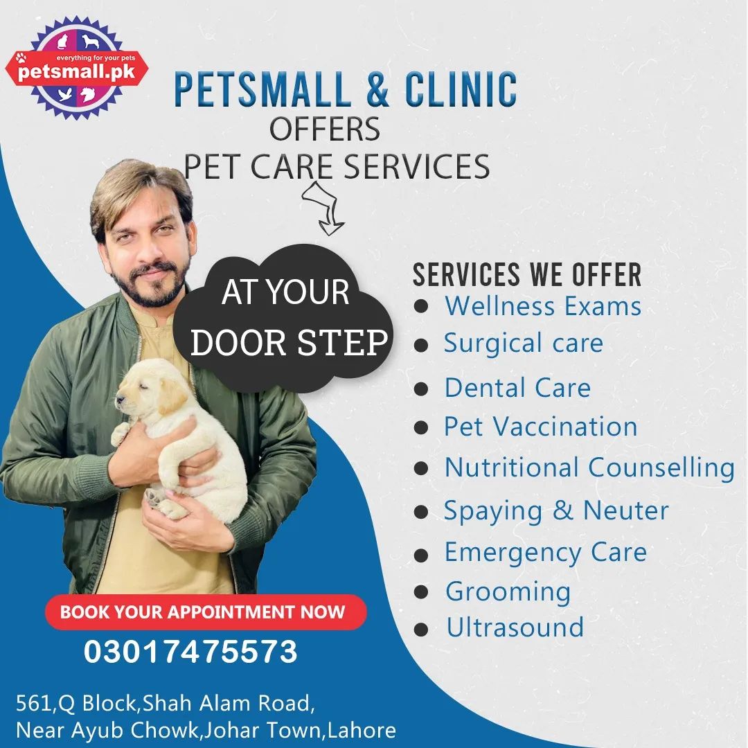 As a veterinarian, my utmost priority is the health and well-being of your beloved dogs. Regular veterinary care, including vaccinations, preventive treatments, and routine check-ups, ensures their overall health. At Petsmall. Pk and Pets Clinic, we are dedicated to providing the best possible care for your dogs. During the summer months, it is essential to take extra precautions to keep your dogs safe from the heat. Remember to provide ample shade and fresh water, and avoid exposing them to extreme temperatures. Be mindful of their exercise routines and be aware of signs of heatstroke. If you are considering breeding your dogs, please prioritize responsible practices. Health screenings, proper timing, and ethical breeding principles contribute to the well-being of the parent dogs and their puppies. Remember, your dogs rely on you for their care and well-being. By partnering with trusted veterinary establishments like Petsmall. Pk and Pets Clinic, you can ensure your furry friends receive the best possible veterinary care. Wishing you and your dogs a happy and healthy life together.