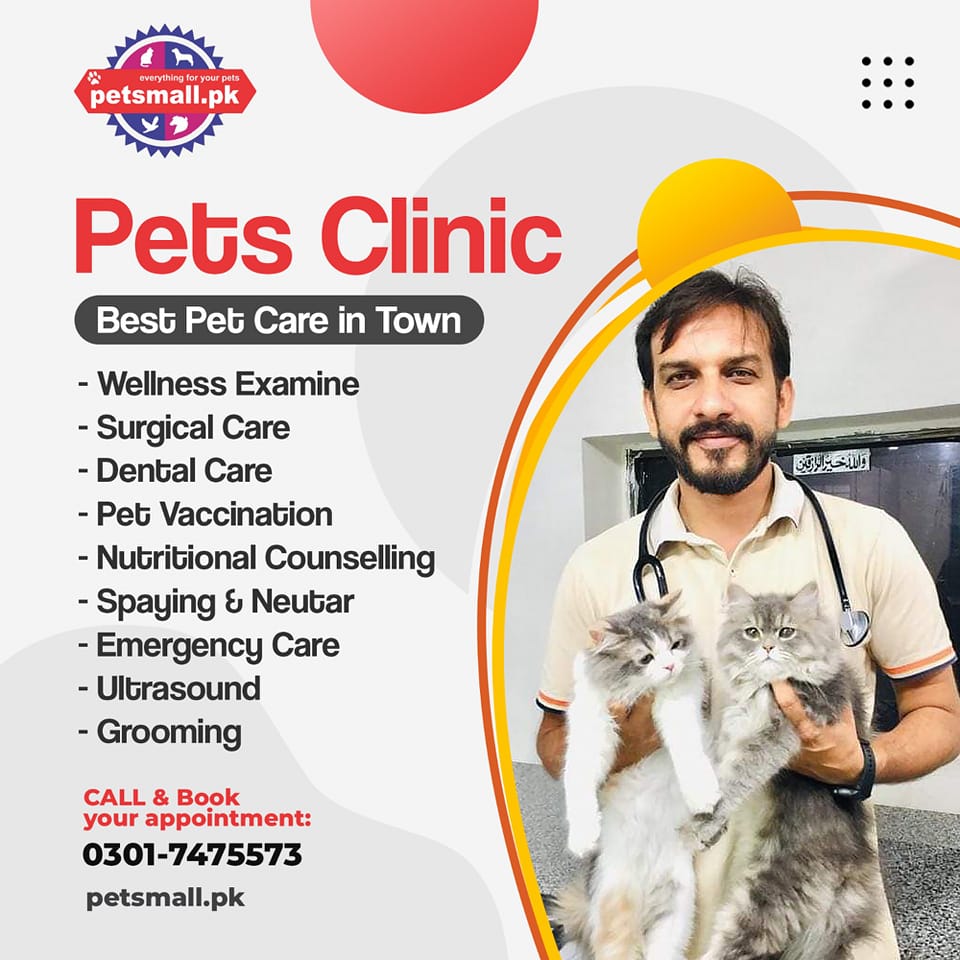 The Convenience and Benefits of Pets Mall Services