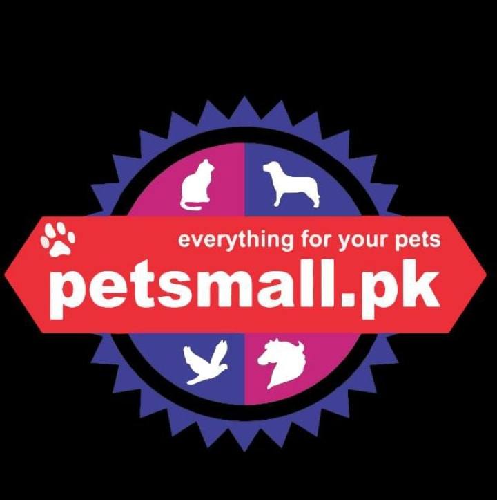 Dr. Samiullah's Exceptional Spay and Neuter Services for Pet Health