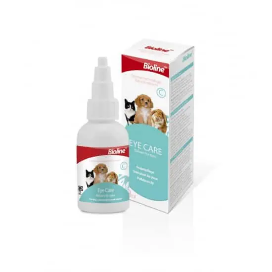 Medicated eye drops for cats hotsell