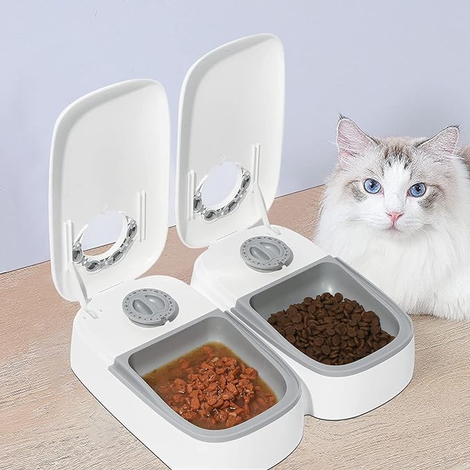 Cat food timer top argos