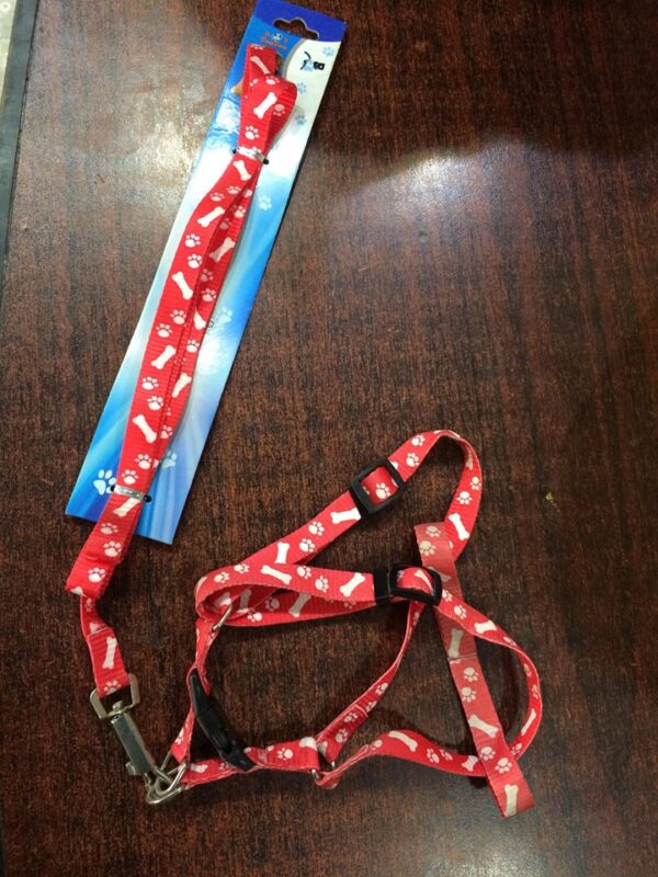 cat harness with leash