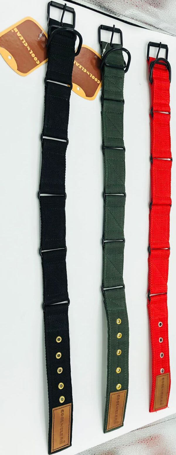 Soft Nylon Collar Adult Dog (Large Size)