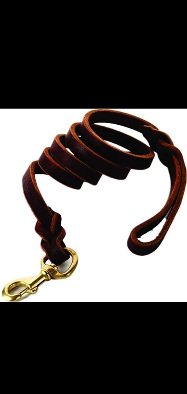 Leather Leash