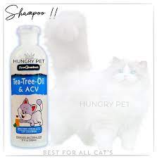 Paw Comfort Cat Shampoo – Tea Tree – Oil & ACV