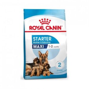 Royal Canin Maxi Starter Dry Dog Food