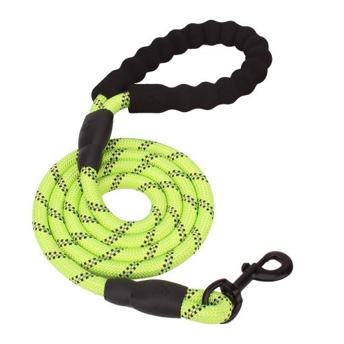 Imported Quality Nylon Dog Leash