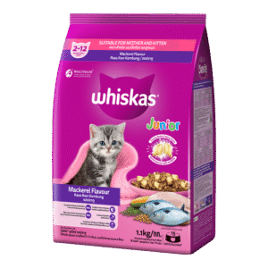 Whiskas Junior 2-12 Month Dry Cat Food- Mackerel Flavour (1.1kg)