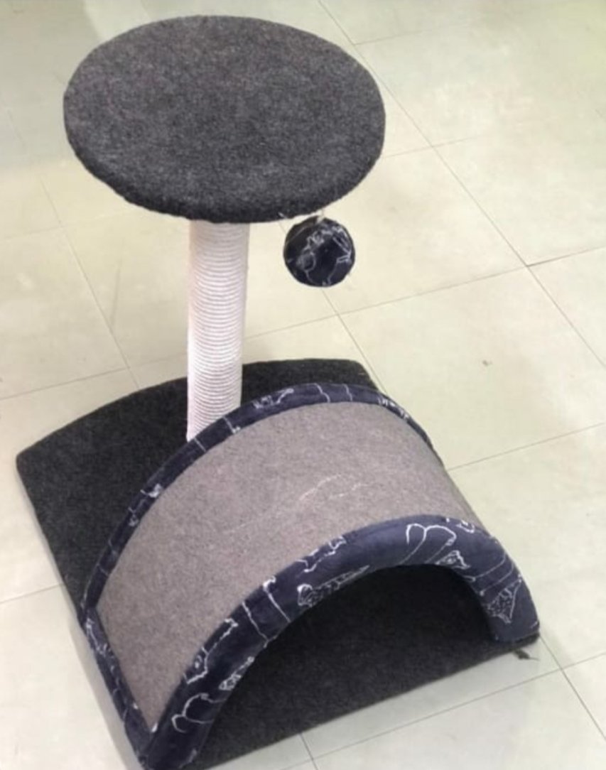 Cat Scratch Post 222