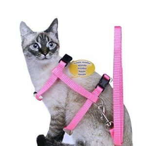 CAT HARNESS WITH LEASH
