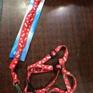cat harness with leash