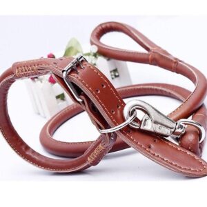 soft dog leash with collar
