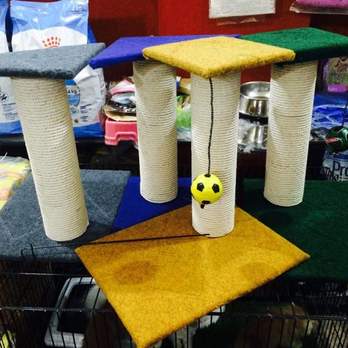 Scratching Posts for Cats