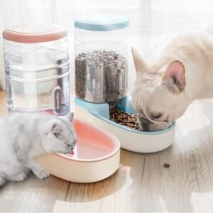 FOOD AND WATER DISPENSOR