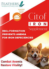 Citof Iron Supplement (120ml)