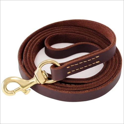 Leather Dog Show Leash (9 feet)