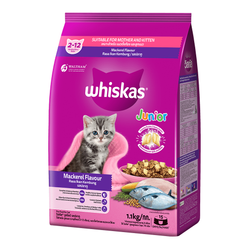 Whiskas Junior 2-12 Month Dry Cat Food- Mackerel Flavour (1.1kg)