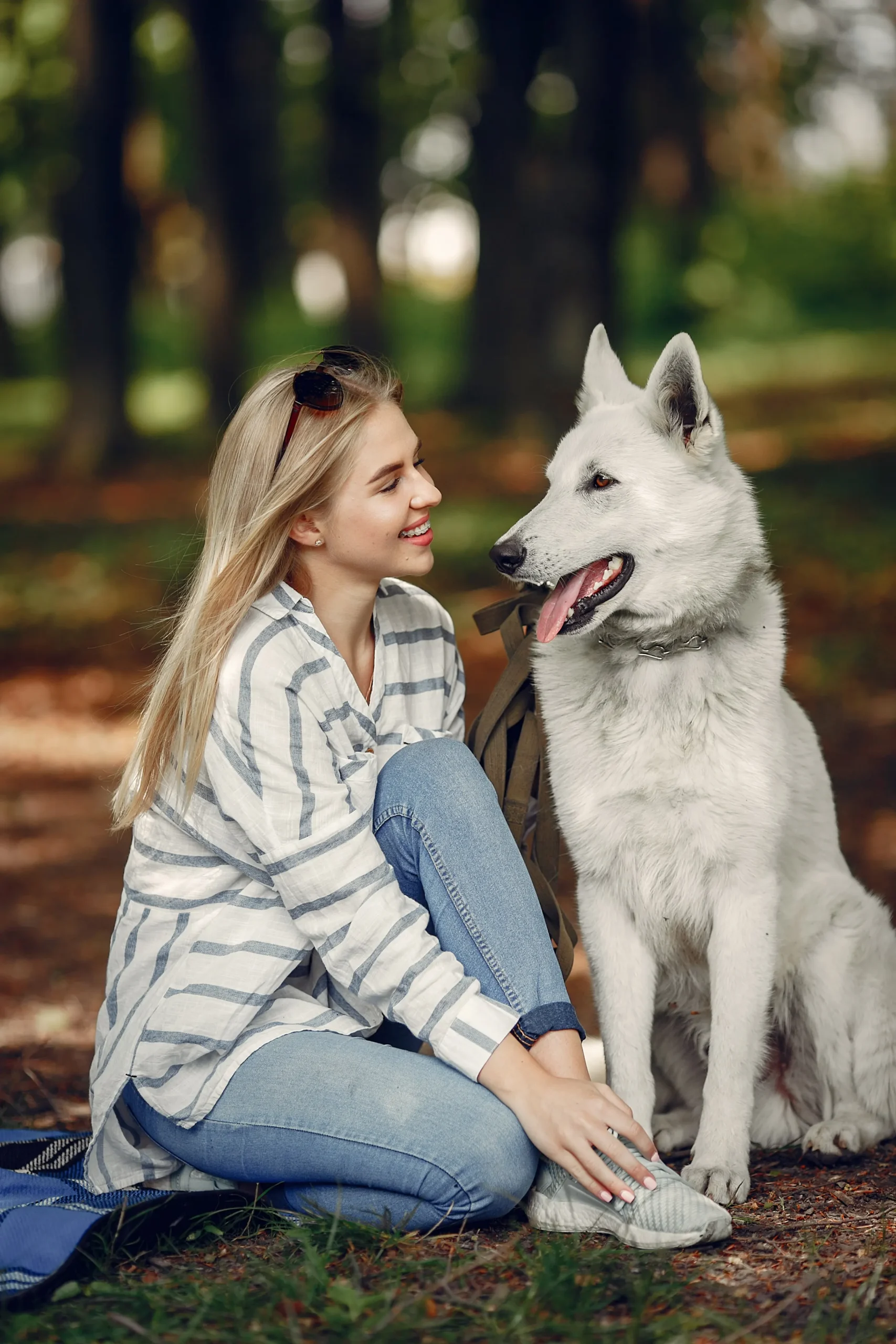The Joys of Having a Pet Dog: Why They’re More Than Just Pets