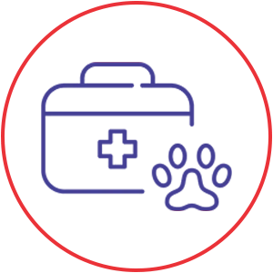 emergency care