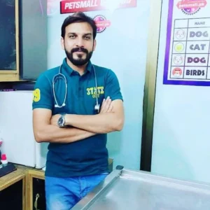 pets mall clinic 10.webp