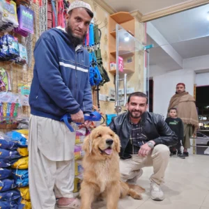 pets mall clinic 11.webp