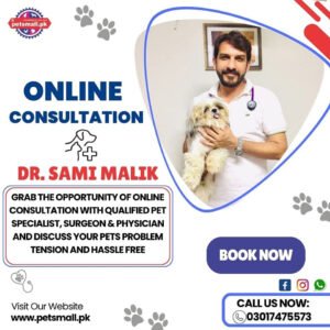 pets mall clinic.jpg
