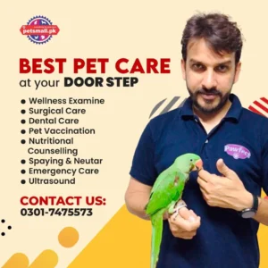 pets mall clinic 7.webp