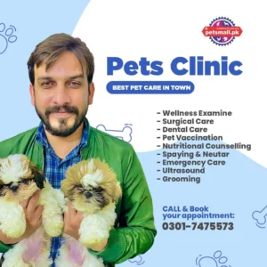 pets mall clinic 8.webp