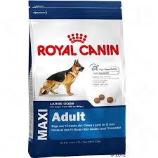 royal canin maxi adult dog food (copy)