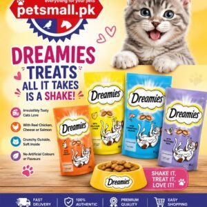Dreamies Dry Cat Treats (60g)