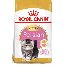 royal canin persian kitten dry food