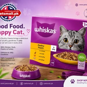 Whiskas 1+ Jelly in Poultry Feasts-1 Gravy box (12 Pouches)