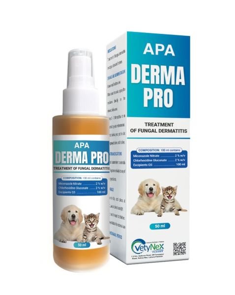 apa derma pro for fungal dermatitis (50ml)