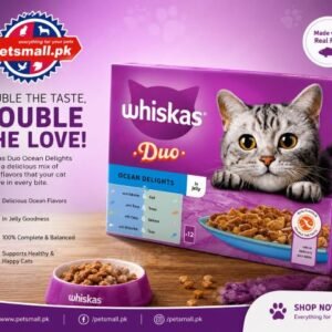 Whiskas 1+ DUO Ocean in Jelly Box (12 pouch)