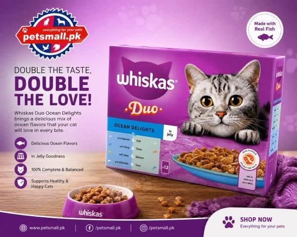 Whiskas 1+ DUO Ocean in Jelly Box (12 pouch)