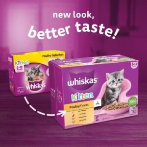 Whiskas Kitten (2-12 Month) Jelly-Poultry Feast