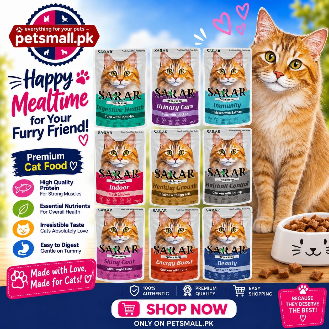 SARAR Wholesome Cat Wet Food (70g)