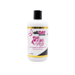 All Day Pharmacy anti-fungal and anti-bacterial Shampoo for Cats and Dogs